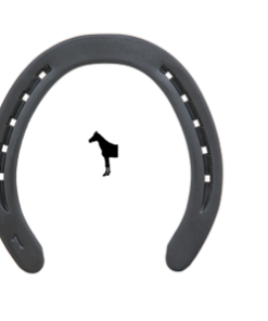 TNC RIM